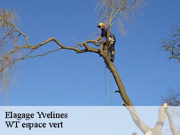 Elagage 78 Yvelines  Archange Paysagiste 78