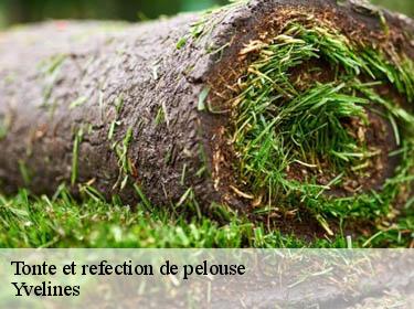 Tonte et refection de pelouse 78 Yvelines Archange Elagage