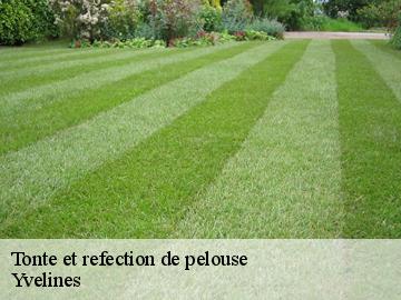Tonte et refection de pelouse 78 Yvelines Archange Elagage