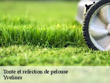 Tonte et refection de pelouse Yvelines