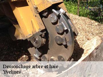Dessouchage arbre et haie Yvelines