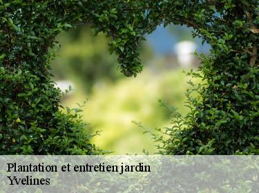 Plantation et entretien jardin 78 Yvelines Archange Paysagiste 78