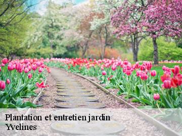 Plantation et entretien jardin 78 Yvelines WT espace vert