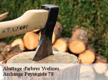 Abattage d'arbres 78 Yvelines  Archange Elagage