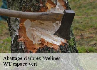 Abattage d'arbres 78 Yvelines  Archange Paysagiste 78