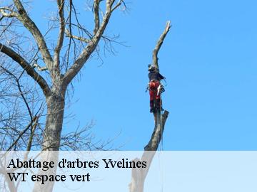 Abattage d'arbres 78 Yvelines  Archange Paysagiste 78