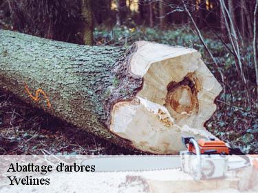 Abattage d'arbres 78 Yvelines  Archange Paysagiste 78