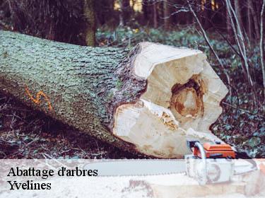 Abattage d'arbres 78 Yvelines Archange Paysagiste 78