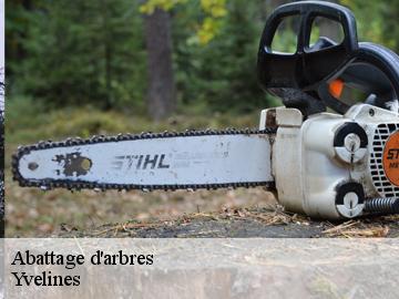 Abattage d'arbres 78 Yvelines Archange Paysagiste 78