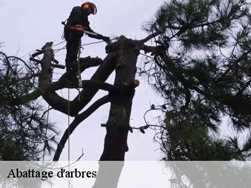 Abattage d'arbres 78 Yvelines  Archange Paysagiste 78