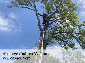 Abattage d'arbres 78 Yvelines  Archange Paysagiste 78