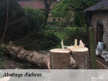 Abattage d'arbres 78 Yvelines  Archange Paysagiste 78