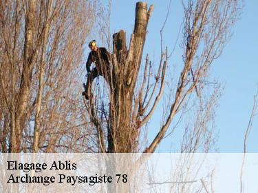 Elagage  ablis-78660 Archange Paysagiste 78
