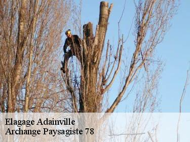 Elagage  adainville-78113 Archange Paysagiste 78