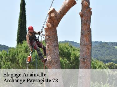Elagage  adainville-78113 Archange Paysagiste 78