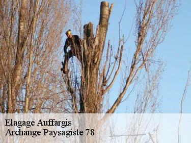 Elagage  auffargis-78610 Archange Paysagiste 78