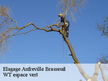 Elagage  aufreville-brasseuil-78930 WT espace vert 