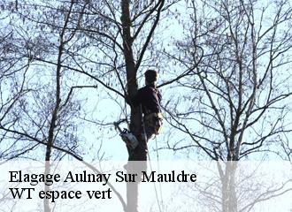 Elagage aulnay-sur-mauldre-78126 WT espace vert