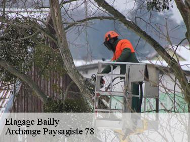 Elagage  bailly-78870 Archange Paysagiste 78