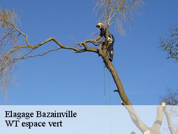 Elagage  bazainville-78550 Archange Paysagiste 78