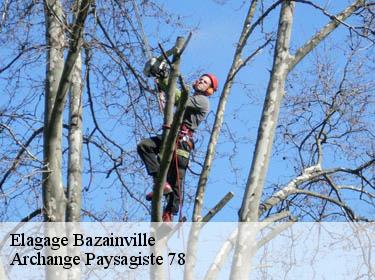 Elagage  bazainville-78550 Archange Paysagiste 78