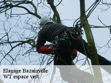 Elagage  bazainville-78550 Archange Paysagiste 78