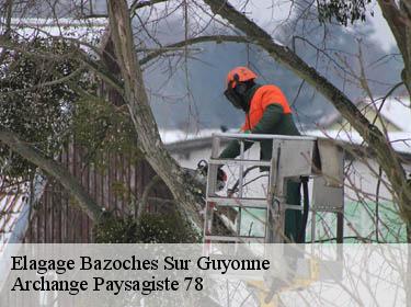 Elagage  bazoches-sur-guyonne-78490 Archange Paysagiste 78