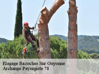 Elagage  bazoches-sur-guyonne-78490 Archange Paysagiste 78