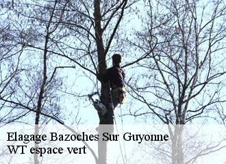Elagage bazoches-sur-guyonne-78490 WT espace vert