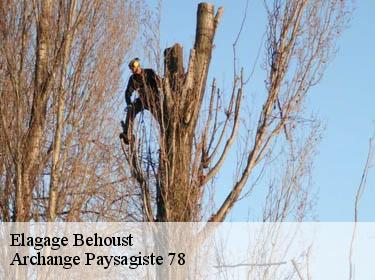 Elagage  behoust-78910 Archange Paysagiste 78