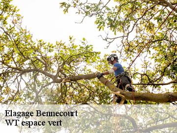 Elagage bennecourt-78270 WT espace vert