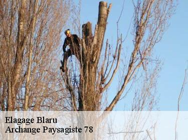 Elagage  blaru-78270 Archange Paysagiste 78