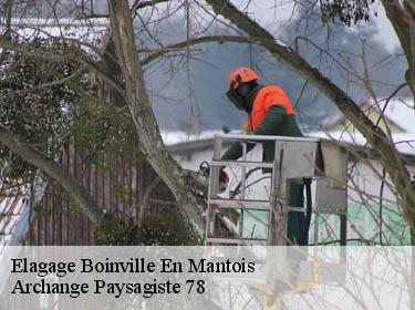 Elagage  boinville-en-mantois-78930 Archange Paysagiste 78