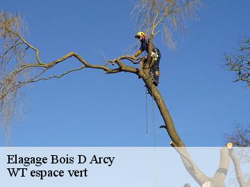 Elagage bois-d-arcy-78390 Archange Paysagiste 78