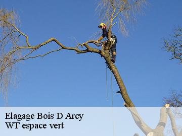 Elagage  bois-d-arcy-78390 Archange Paysagiste 78