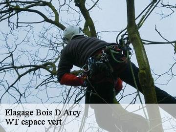 Elagage  bois-d-arcy-78390 Archange Paysagiste 78