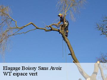 Elagage boissy-sans-avoir-78490 WT espace vert