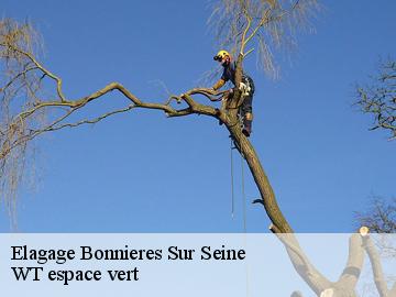 Elagage bonnieres-sur-seine-78270 WT espace vert
