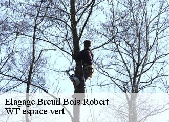Elagage breuil-bois-robert-78930 WT espace vert