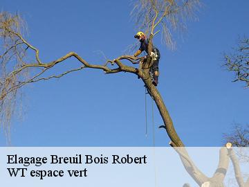 Elagage breuil-bois-robert-78930 WT espace vert