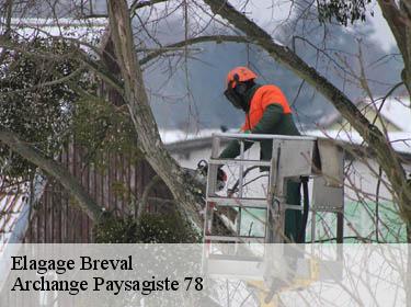 Elagage  breval-78980 Archange Elagage