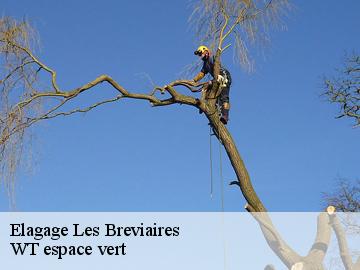 Elagage les-breviaires-78610 WT espace vert