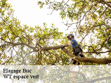 Elagage buc-78530 Archange Paysagiste 78