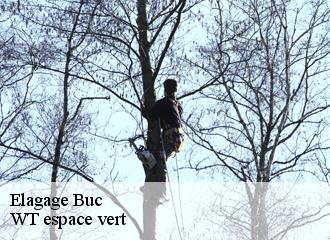 Elagage  buc-78530 WT espace vert 
