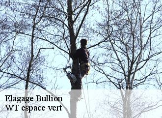 Elagage bullion-78830 WT espace vert