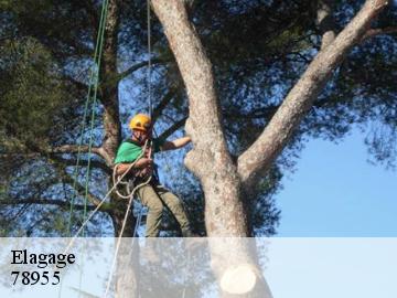 Elagage  carrieres-sous-poissy-78955 WT espace vert 