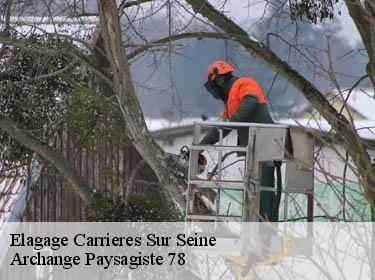 Elagage  carrieres-sur-seine-78420 Archange Paysagiste 78