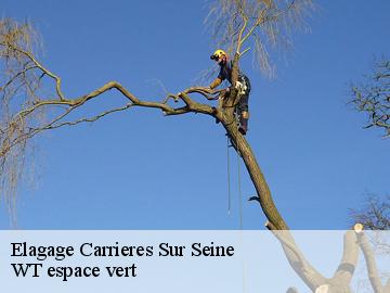 Elagage carrieres-sur-seine-78420 WT espace vert