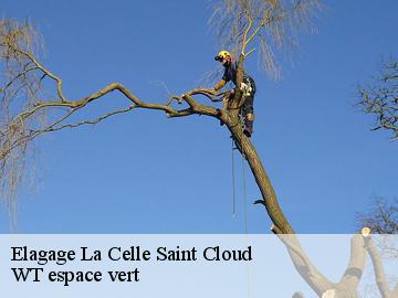 Elagage la-celle-saint-cloud-78170 WT espace vert