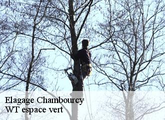Elagage chambourcy-78240 WT espace vert